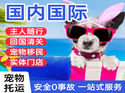 德宏机场邮寄国际宠物托运 【国